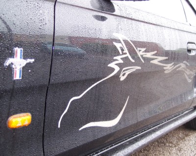 reflective mustang decals