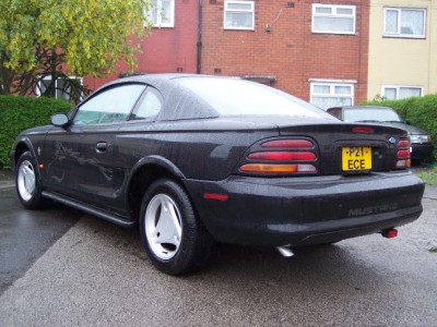 Mustang Rear View